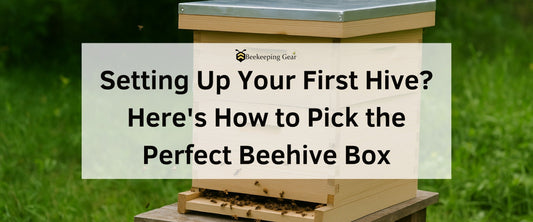 Setting up your first hive? Here’s How to Pick the Perfect Beehive Box
