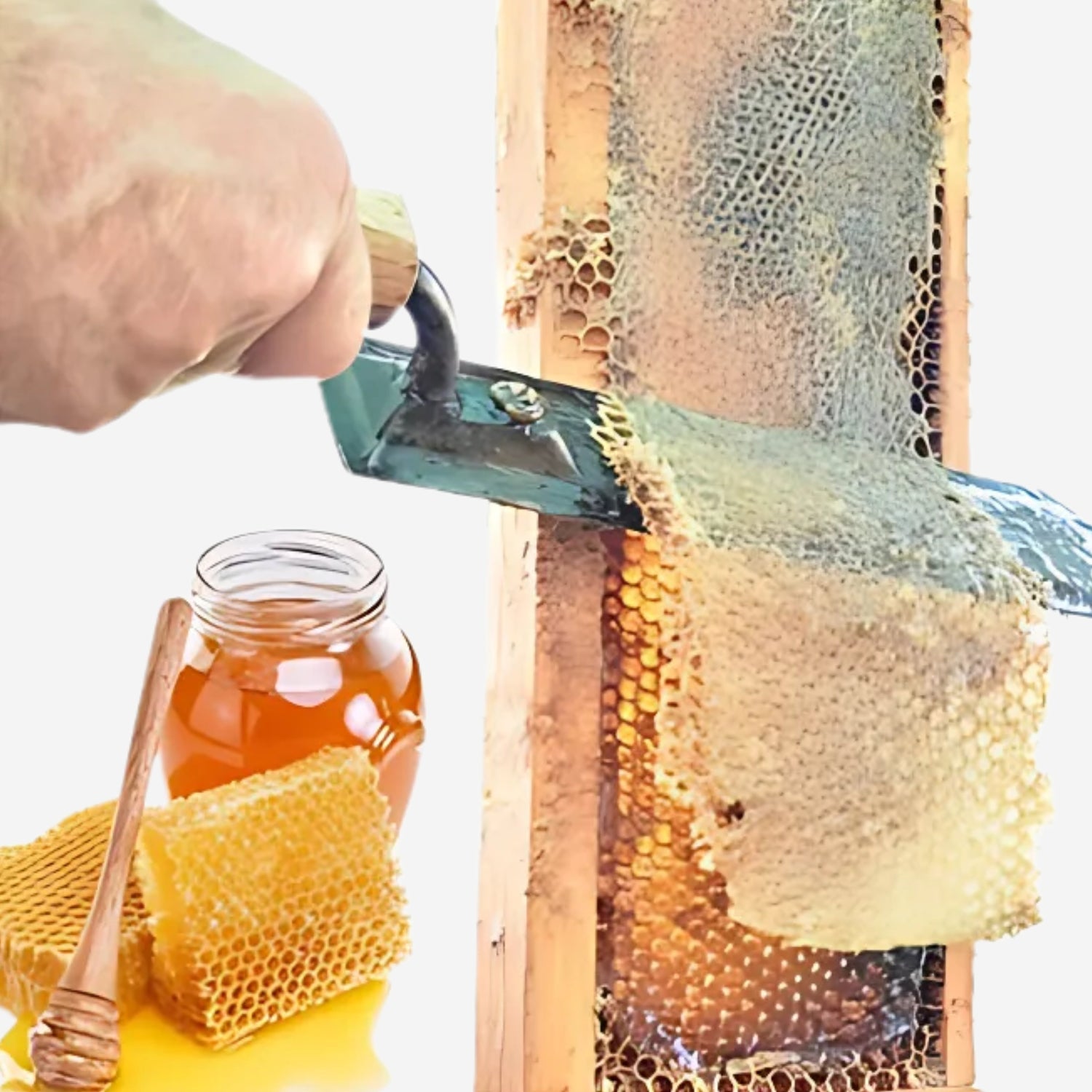 Honey Harvesting