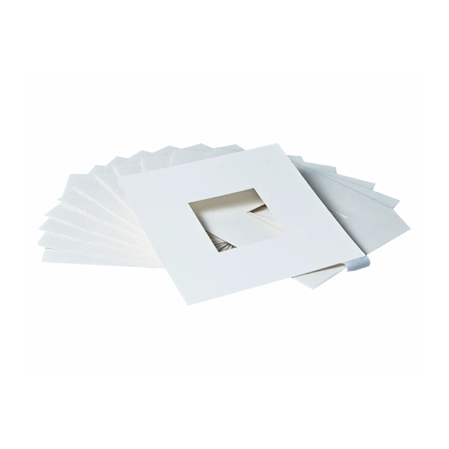 Small Hive Beetle Trap