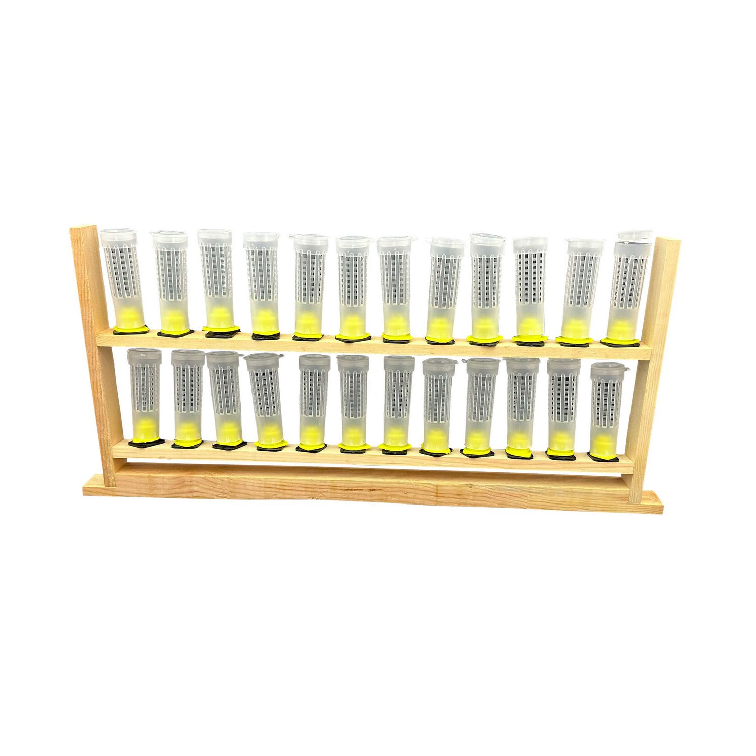 Queen Rearing Frame With rollers