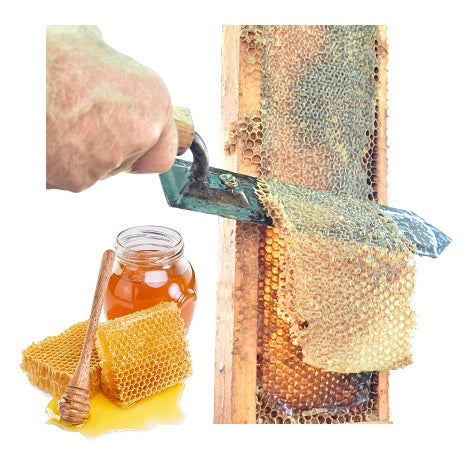 Honey Harvesting beekeeping supplies 