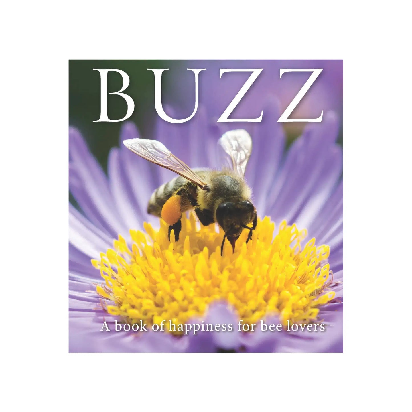 Buzz: A book of happiness for bee lovers