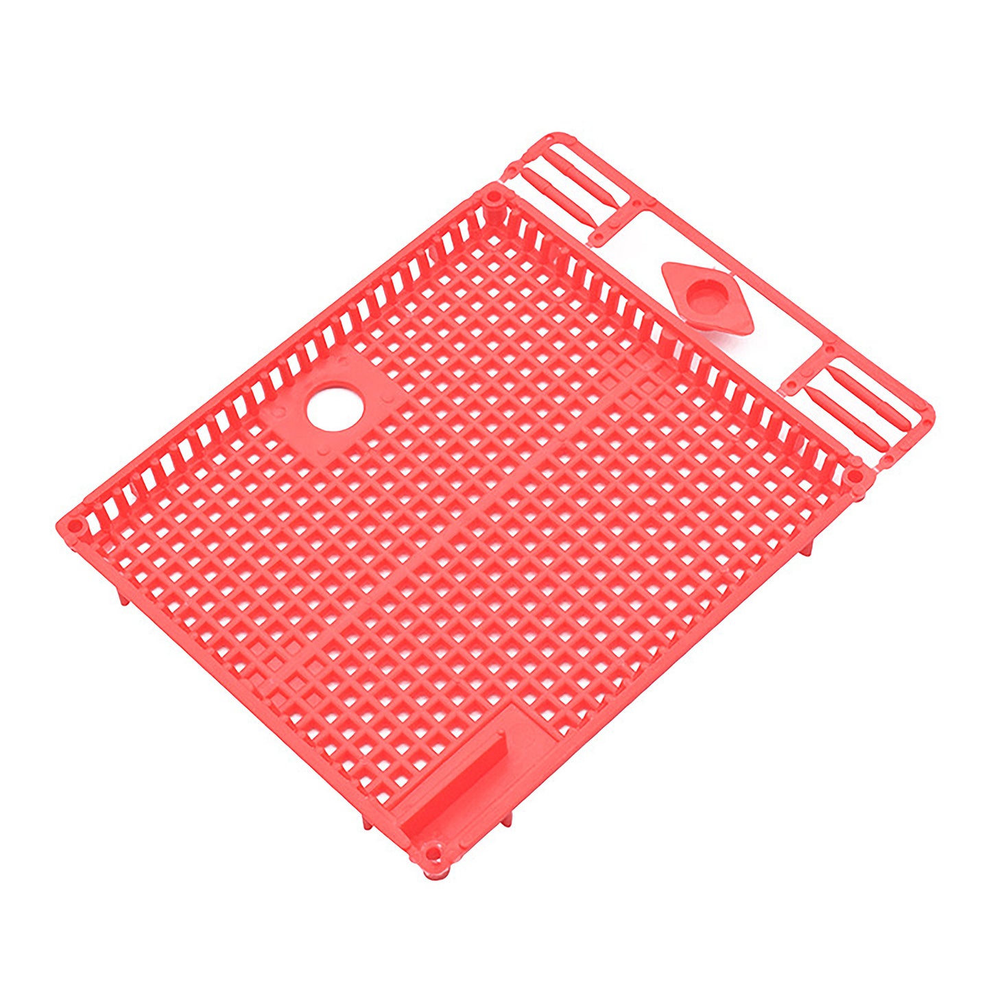 Plastic Queen Cages – Pack of 2