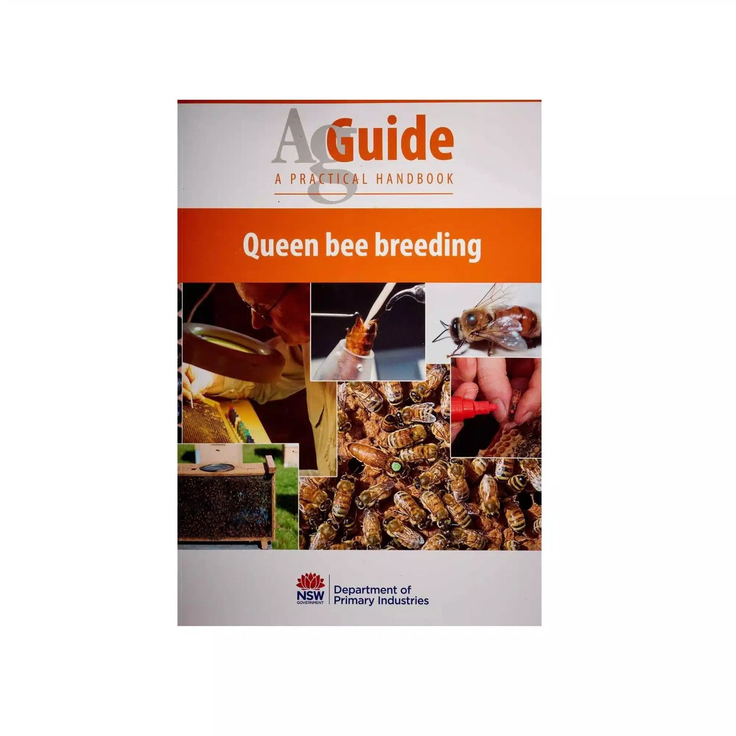 Queen Bee Breeding