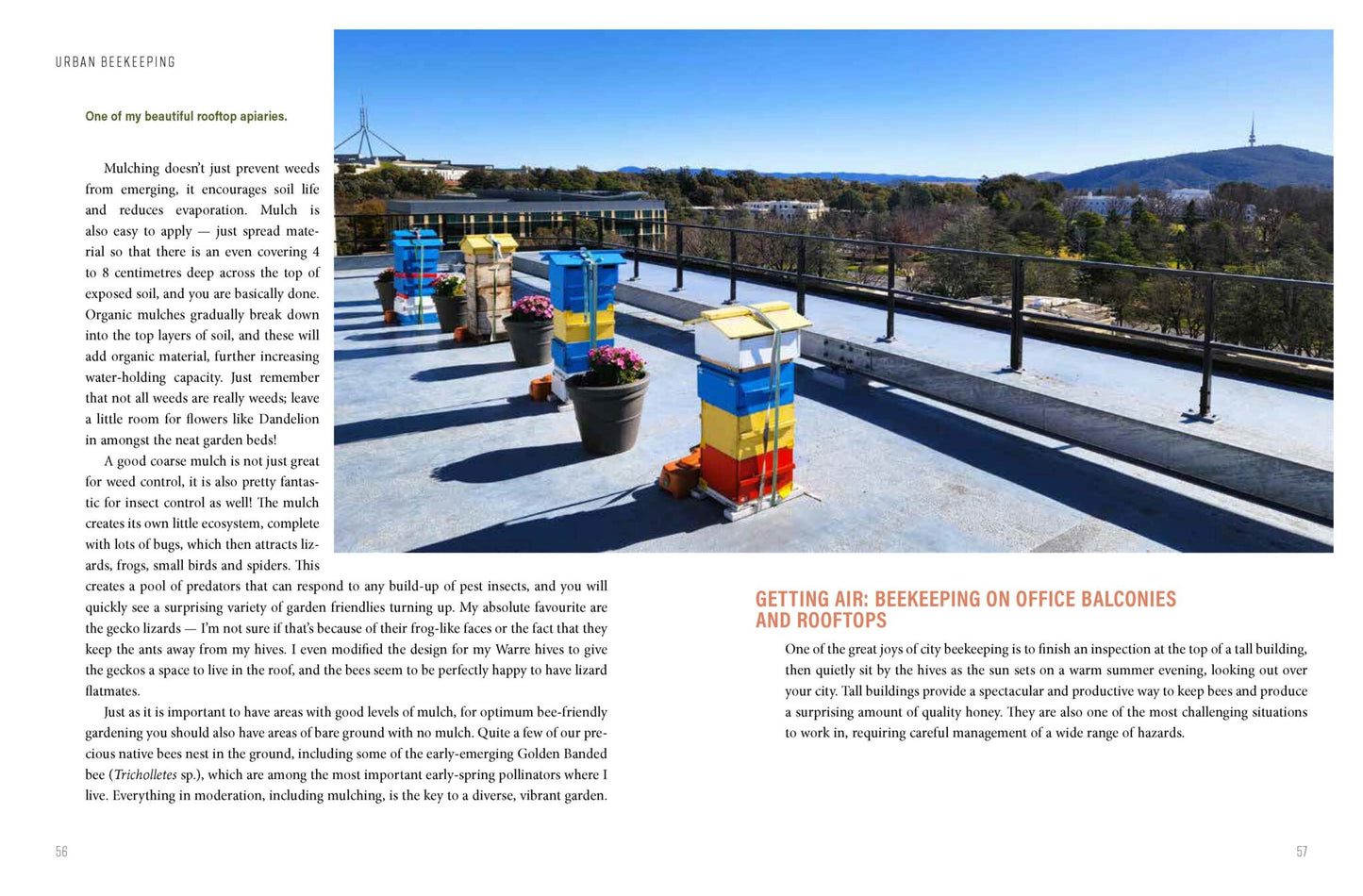 Urban Beekeeping - The City As a Hive