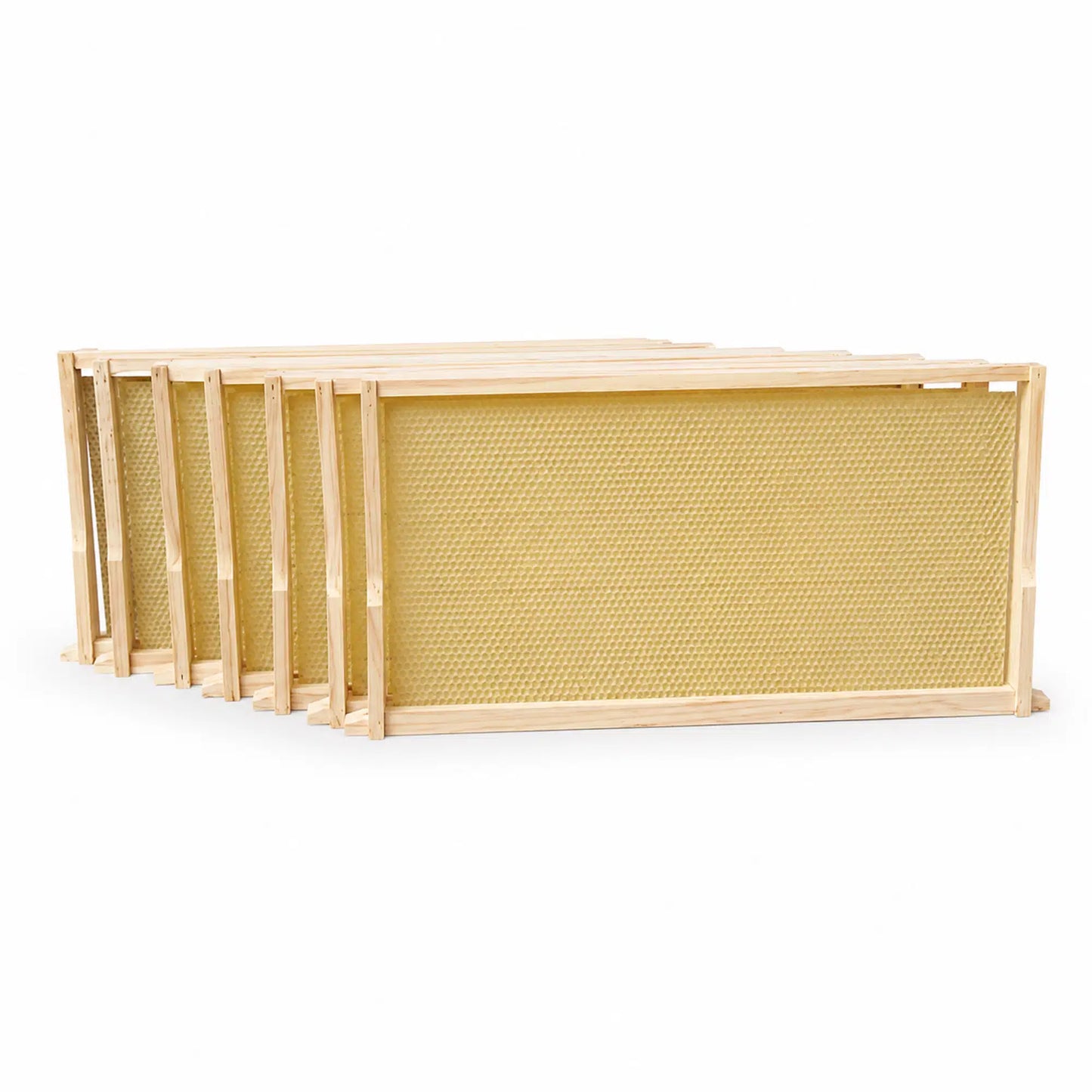 WSP Assembled Wax Embedded Beehive Frames