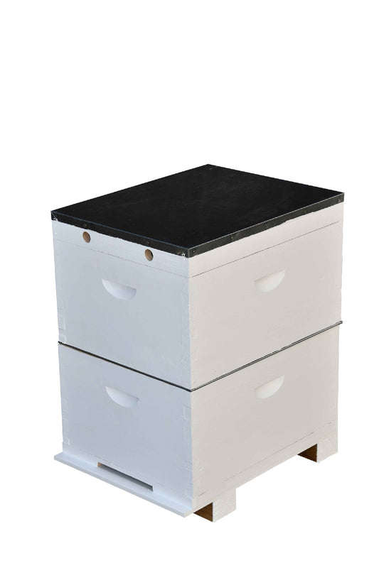 beehive painted