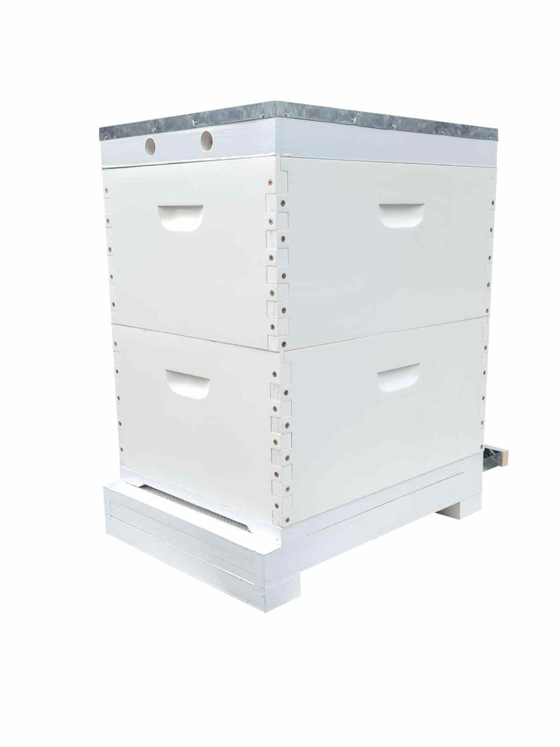 Assembled & Painted Beehive with Mesh Bottom Board