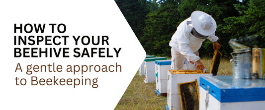 Beekeeper in protective gear inspecting beehives outdoors