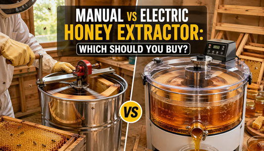 Manual vs Electric Honey Extractor: Which Should You Buy?