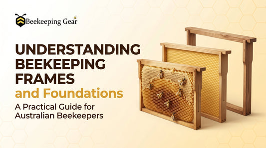 Understanding Beehive Frames and Foundation — A Practical Guide for Australian Beekeepers