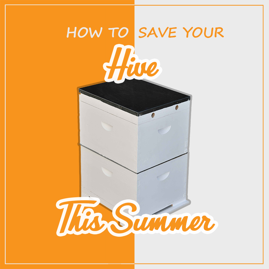 How to save your hive in summer