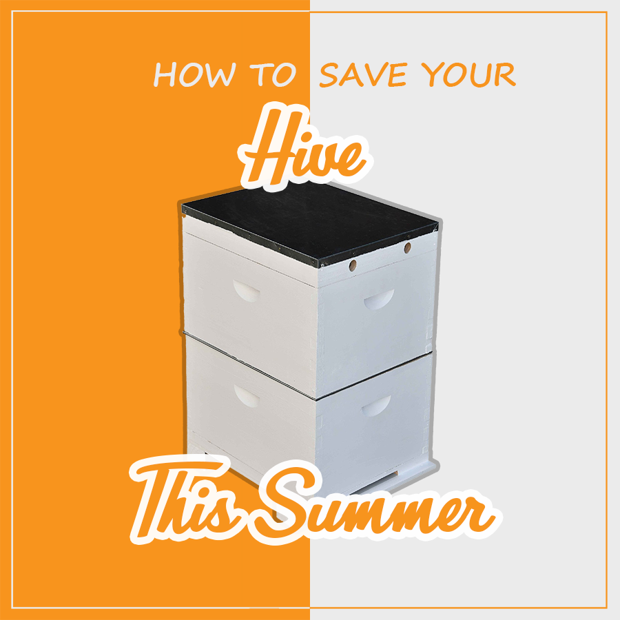 hive in summer