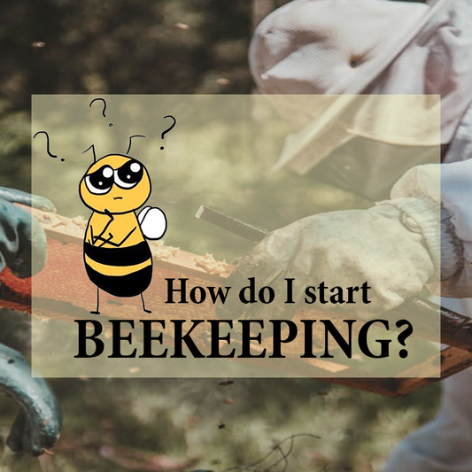 Beekeeping