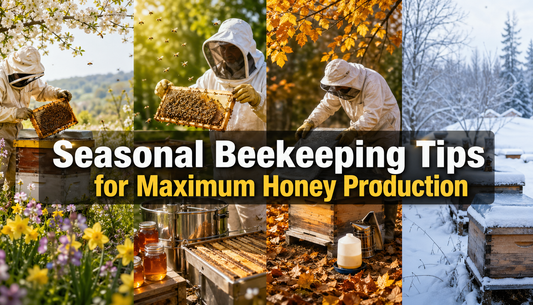 Seasonal Beekeeping Tips for Maximum Honey Production