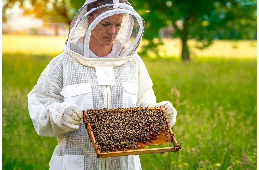 Bee Suit