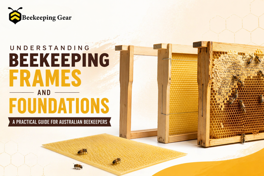 Wooden beehive frames with wax foundation sheets used for honeycomb support in beekeeping hives.