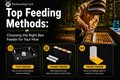 Top feeding methods for beehives showing top feeder, frame feeder, and front feeder options for honey bee nutrition