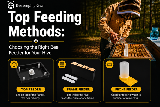 Top Feeding Methods: Choosing the Right Bee Feeder for Your Hive