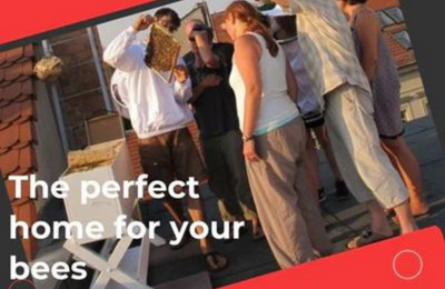Group of people inspecting a beehive on a rooftop during a beekeeping session.