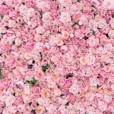 Close-up of pink spring flowers used as a spring hive management blog image.
