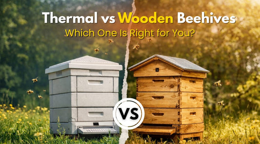 Thermal vs Wooden Beehives