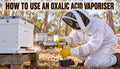 Beekeeper in a protective suit and gloves using an oxalic acid vaporiser on a beehive for varroa treatment