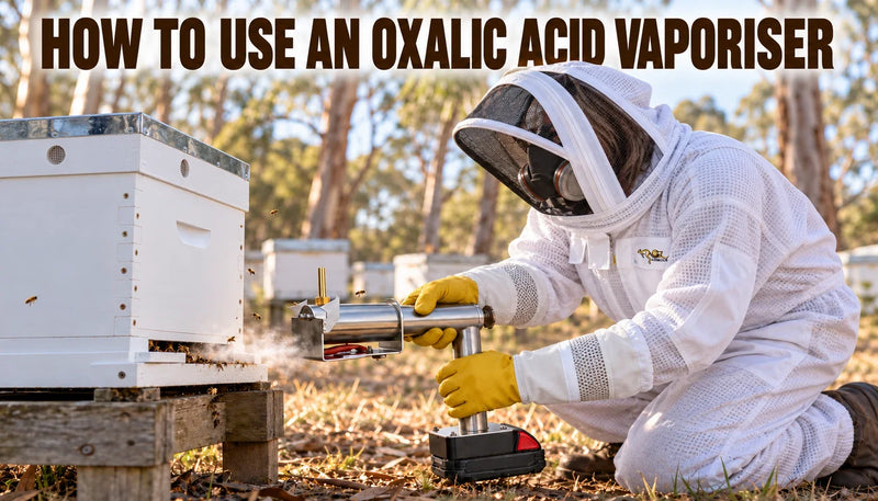 Beekeeper in a protective suit and gloves using an oxalic acid vaporiser on a beehive for varroa treatment