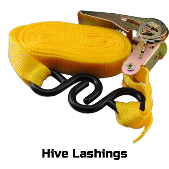 Hive Lashing