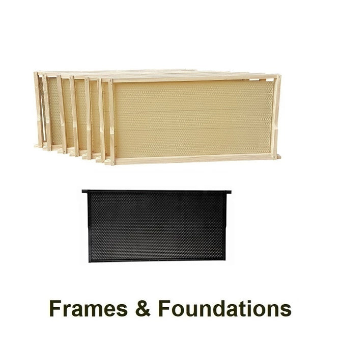 Bee Frames & Foundation