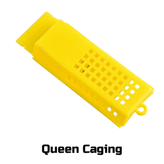 Queen Caging Tools