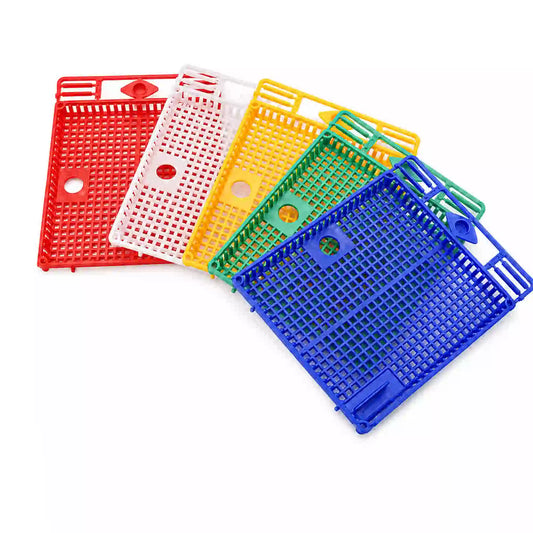 Set of colorful plastic queen cages for beekeeping on white background