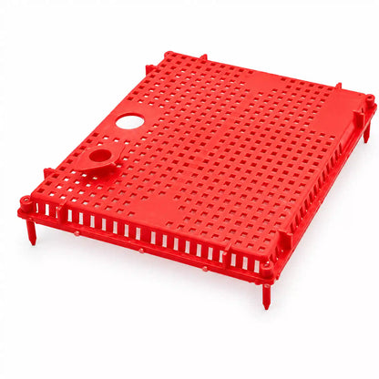 Red plastic queen cage on white background