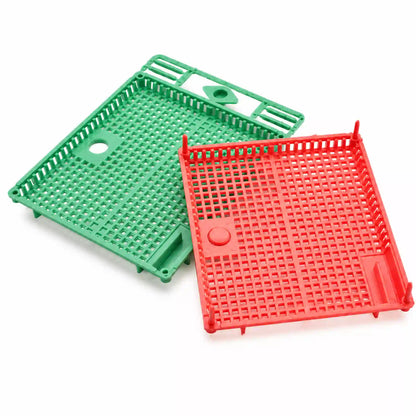Red and green plastic queen cages for beekeeping on white background