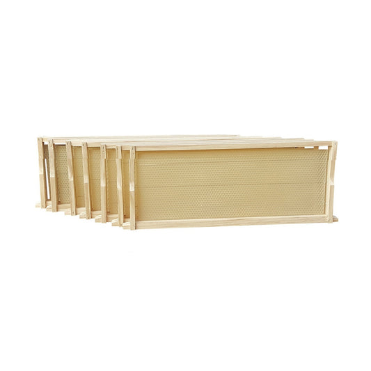 WSP  Assembled Wax Embedded Beehive Frames