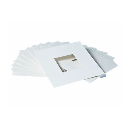 Small Hive Beetle Trap