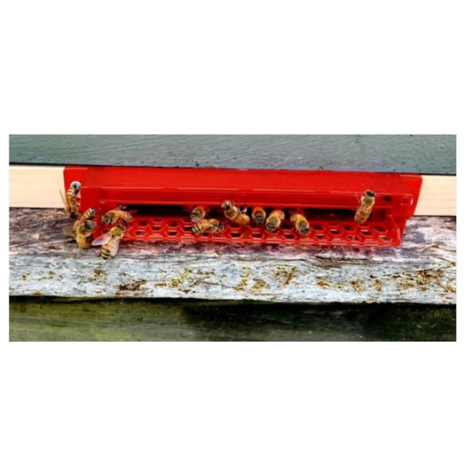 Guardian Beetle Trap USA Beehive Entrance- Upper(Round)/ Bottom – Side View