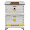 Yellow 10-Frame Beehive with Brood Box and Deep Super for beekeeping.