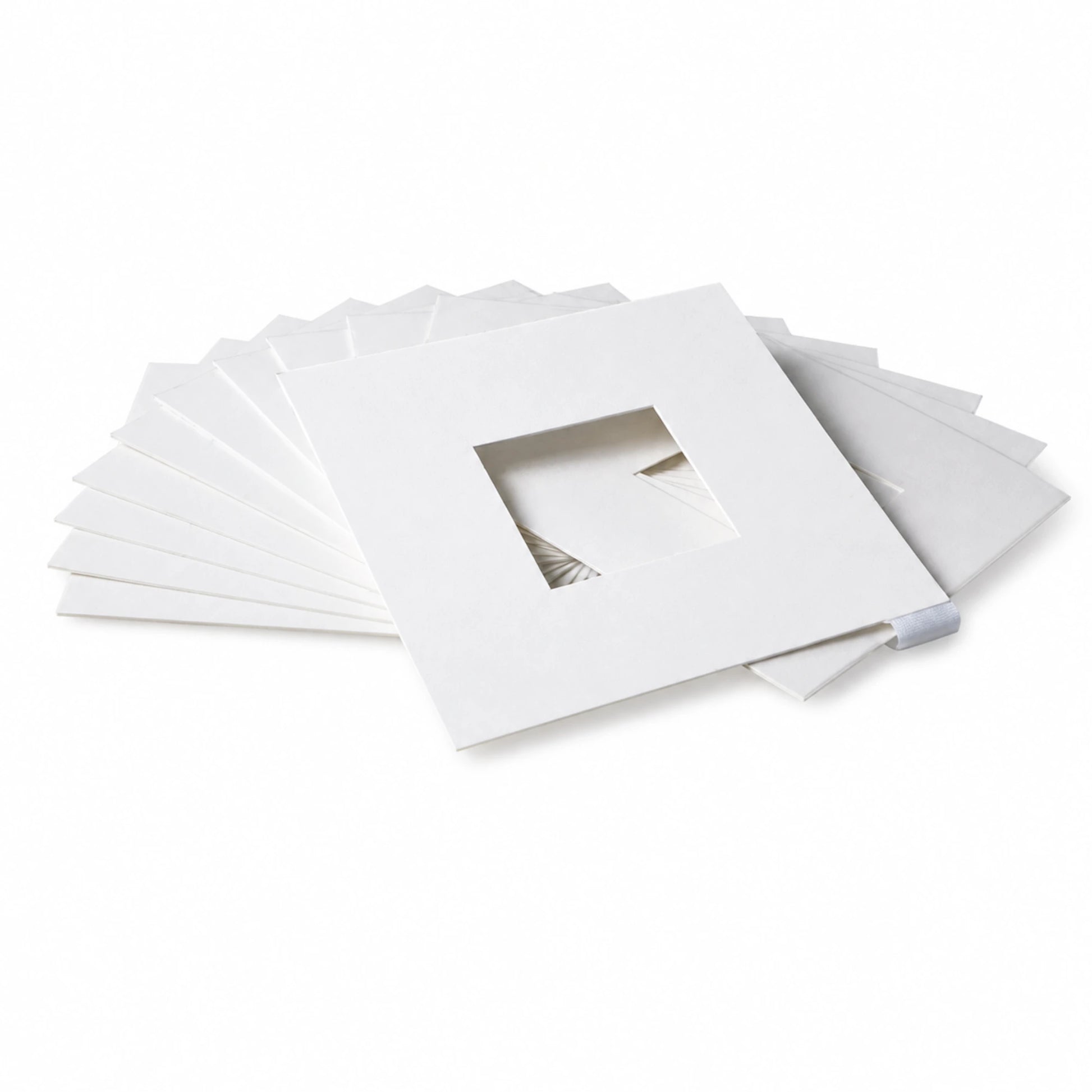 Sticky Board for APIS Small Hive Beetle Trap