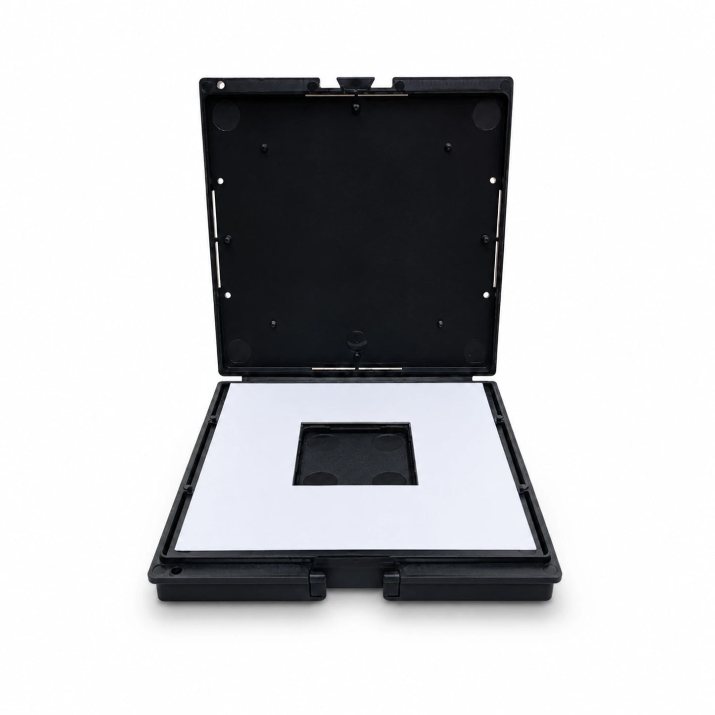 APIS small hive beetle trap with sticky board insert