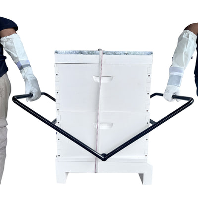 Two persons lifting Hive using Hive Filter for beekeeping beehive.