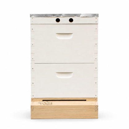 OZ ARMOUR Painted Hive — Wax-Dipped Mesh Board