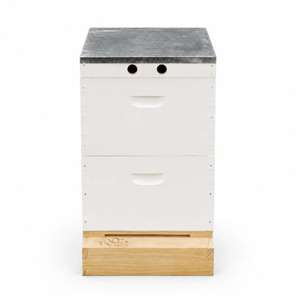 OZ ARMOUR Painted Hive — Wax-Dipped Mesh Board