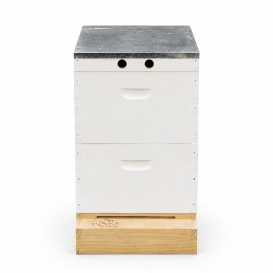 OZ ARMOUR Painted Hive — Wax-Dipped Mesh Board