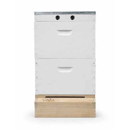 OZ ARMOUR Painted Hive — Wax-Dipped Mesh Board
