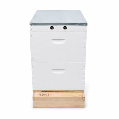 OZ ARMOUR Painted Hive — Wax-Dipped Mesh Board