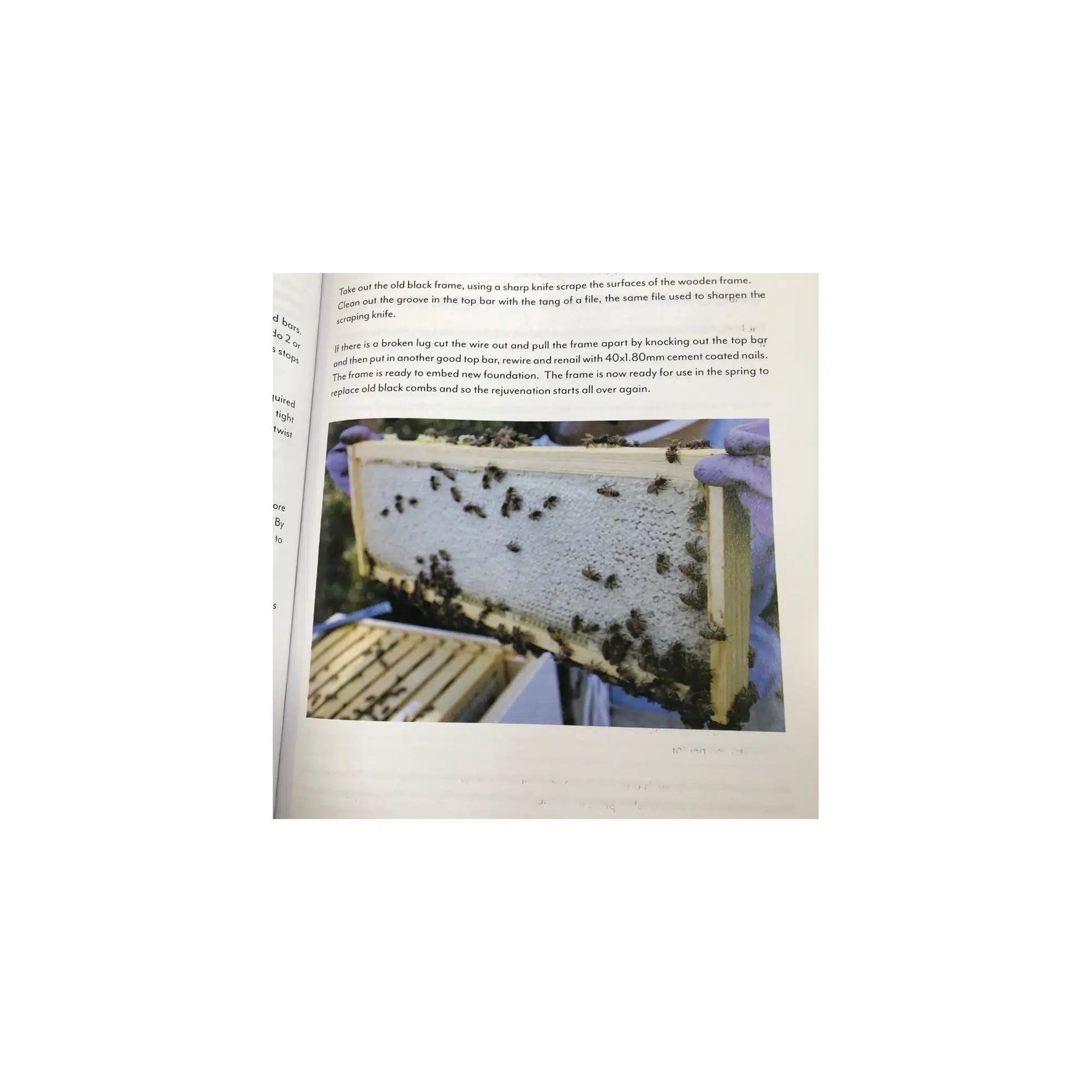 Sample illustrated page from A Beginners Guide to Beekeeping book
