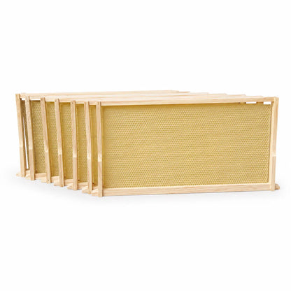 Wax Embedded Beehive Frames