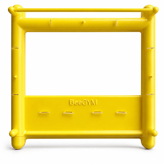 Bee Gym: Economical and Durable