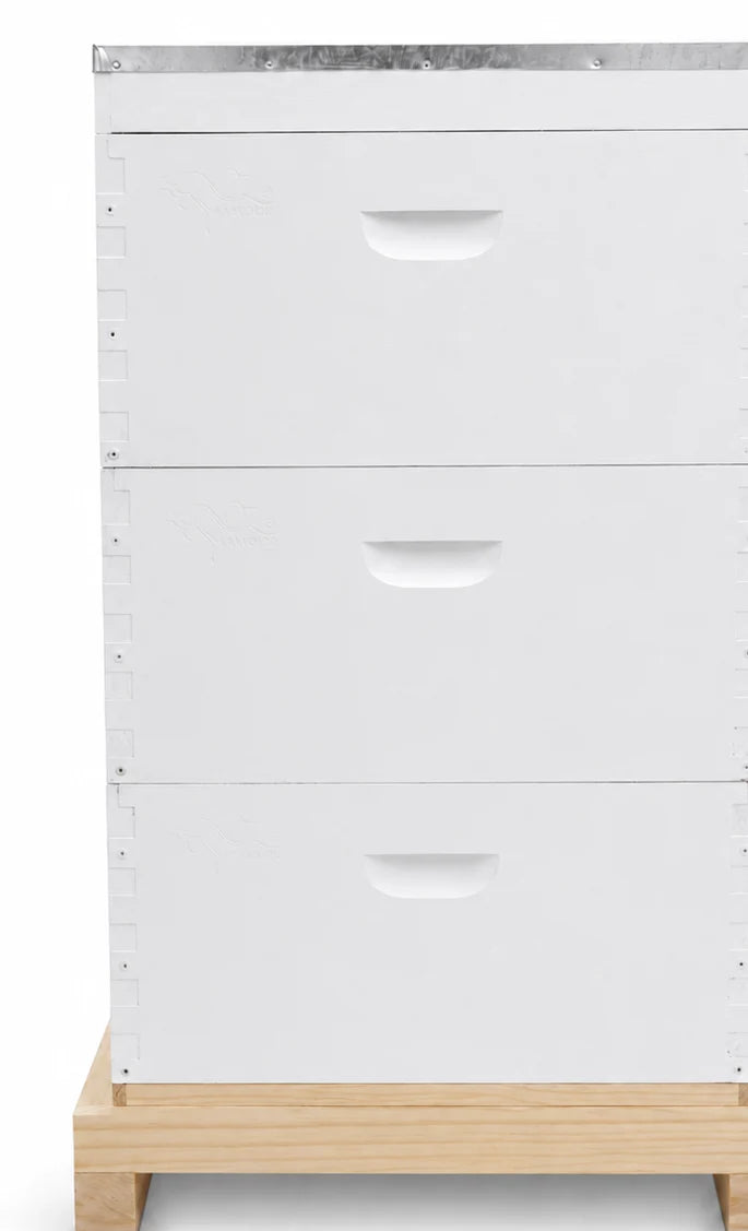 Painted Hive Front Panel and Entrance View